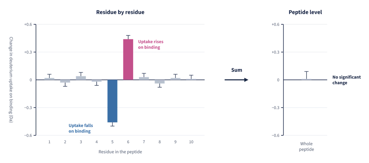 Two bar charts of the change in deuterium uptake on binding. On the left, measured residue by residue for a ten-residue peptide, residue 5 shows a large decrease and residue 6 a similar increase, while the other residues barely change. On the right, the same peptide measured as a whole shows almost no change, because the two opposite changes cancel. Values are illustrative.